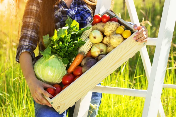 Bagaimana Serat Membantu Usus Bekerja Lebih Efisien